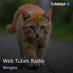 Web Tubes Radio