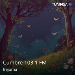 Cumbre 103.1 FM