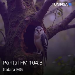 Pontal FM 104.3