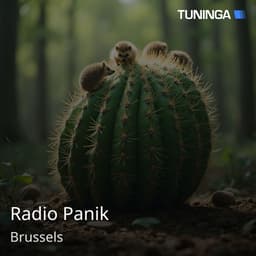 Radio Panik