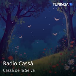 Radio Cassà