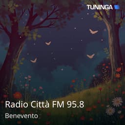 Radio Città FM 95.8
