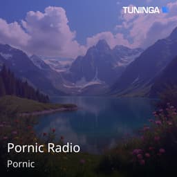 Pornic Radio