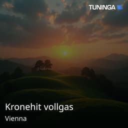 Kronehit vollgas