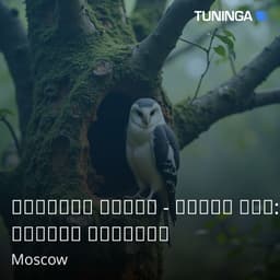 Русское Радио - Нерпа Юма: Сказки Байкала