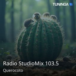Radio StudioMix 103.5