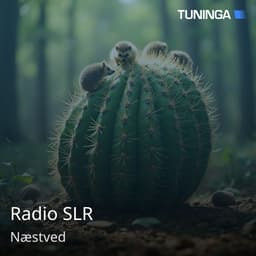 Radio SLR