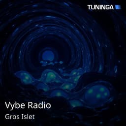 Vybe Radio