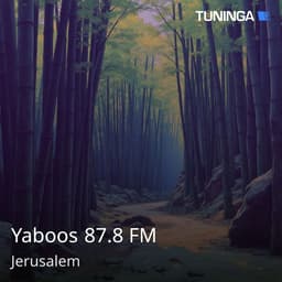 Yaboos 87.8 FM