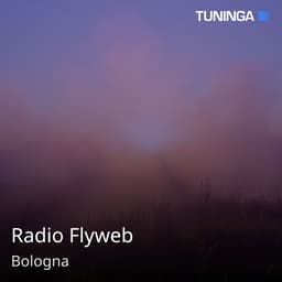 Radio Flyweb
