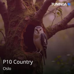 P10 Country