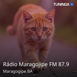 Rádio Maragojipe FM 87.9