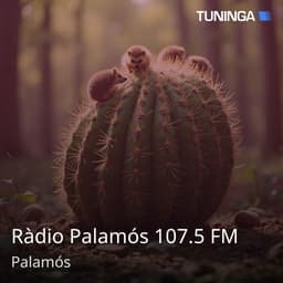 Ràdio Palamós 107.5 FM
