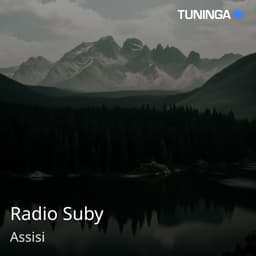 Radio Suby