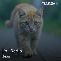 Jinli Radio