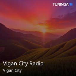 Vigan City Radio