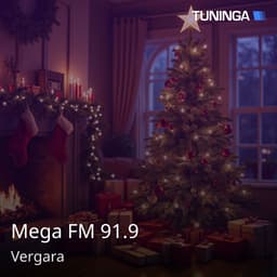 Mega FM 91.9