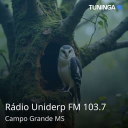 Rádio Uniderp FM 103.7