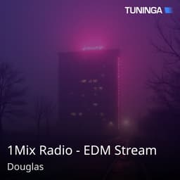 1Mix Radio - EDM Stream