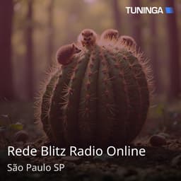 Rede Blitz Radio Online