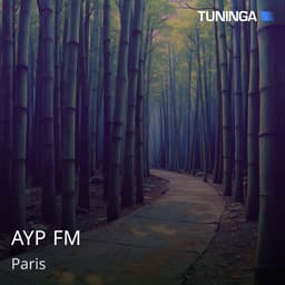 AYP FM