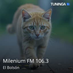 Milenium FM 106.3