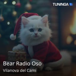 Bear Radio Oso