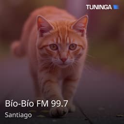 Bío-Bío FM 99.7