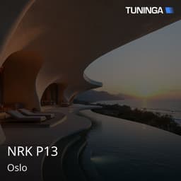 NRK P13