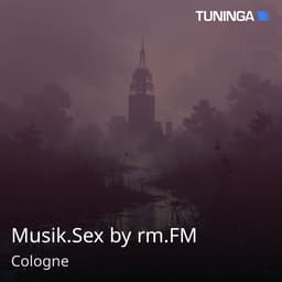 Musik.Sex by rm.FM