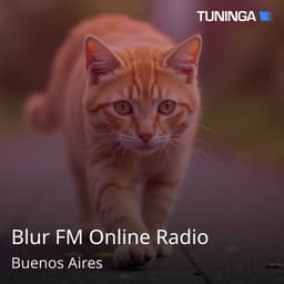 Blur FM Online Radio