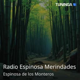 Radio Espinosa Merindades