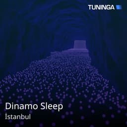 Dinamo Sleep