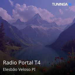 Radio Portal T4