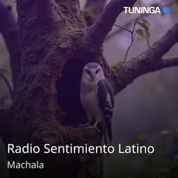 Radio Sentimiento Latino