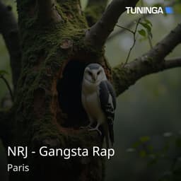 NRJ - Gangsta Rap