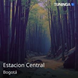Estacion Central