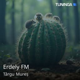 Erdely FM