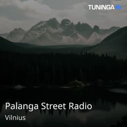 Palanga Street Radio