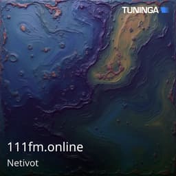 111fm.online