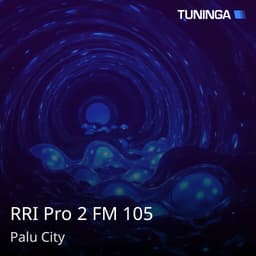 RRI Pro 2 FM 105
