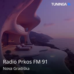 Radio Prkos FM 91