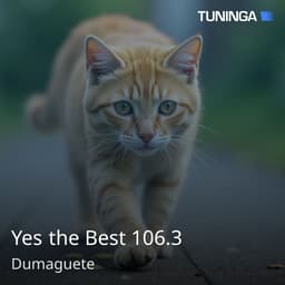 Yes the Best 106.3
