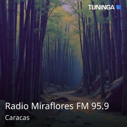 Radio Miraflores FM 95.9