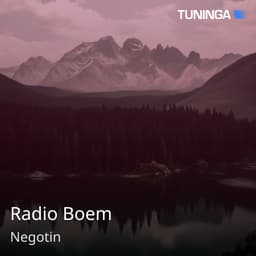 Radio Boem