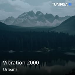 Vibration 2000