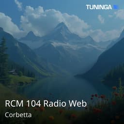 RCM 104 Radio Web