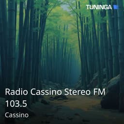 Radio Cassino Stereo FM 103.5