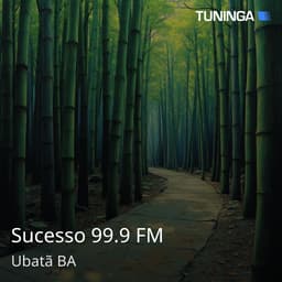 Sucesso 99.9 FM