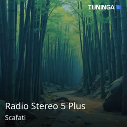 Radio Stereo 5 Plus